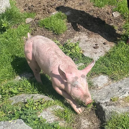 Rieser - Im Herzen Von - Sonniger Balkon - 3 Schlafzimmer Apartment Mayrhofen