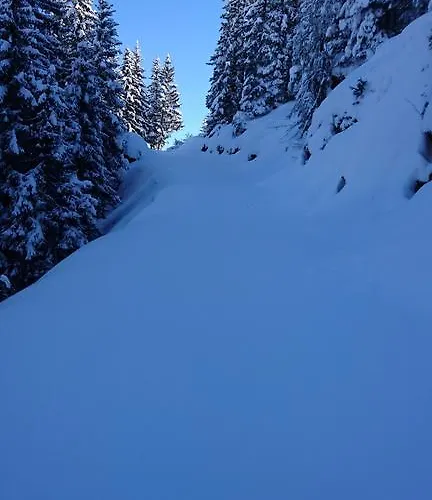 Rieser Майрхофен